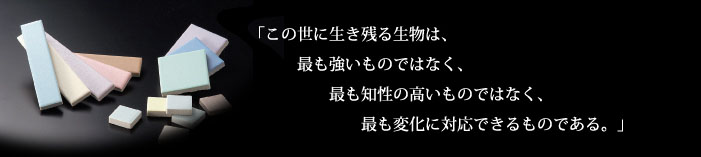 このように生きる生物は、最も強いものではなく、最も知性の高いものではなく、最も変化に対応できるものである。